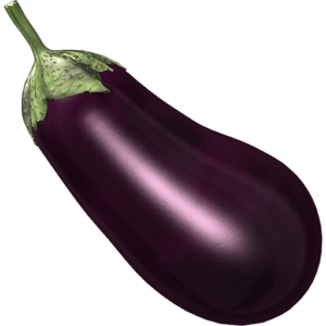 Eggplant-1