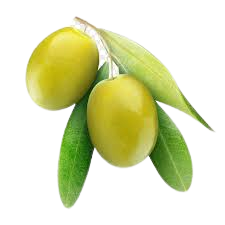 olive-1